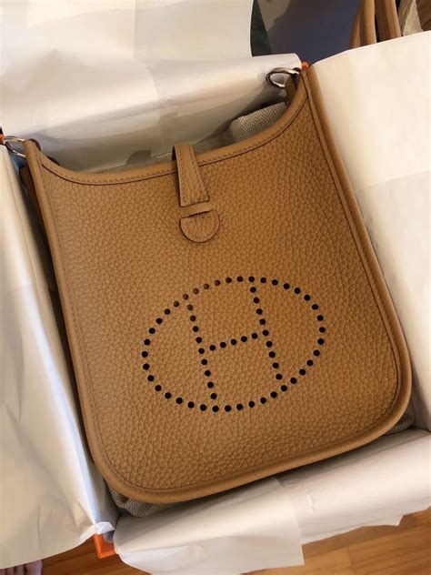 evelyn hermes mini